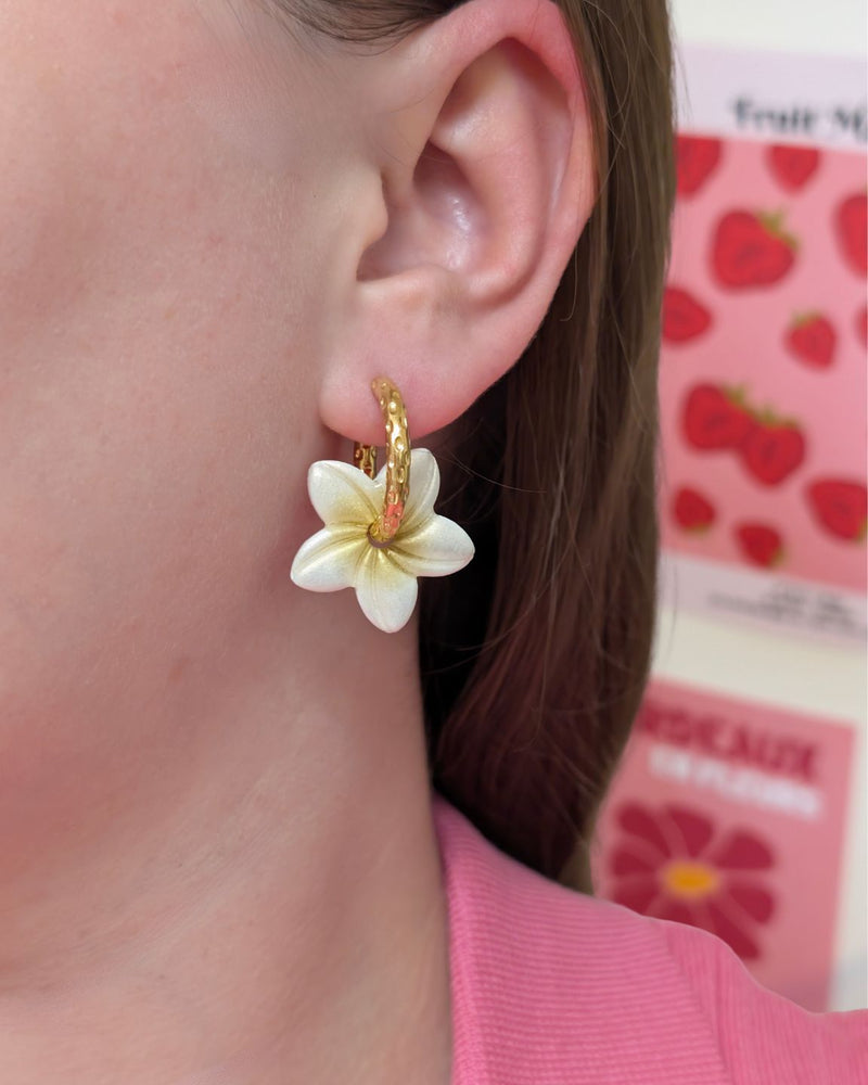 Fleurs de tiaré