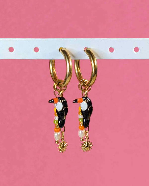 Toucan savana
